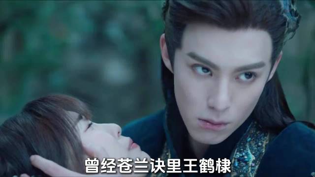 张凌赫vs王鹤棣！