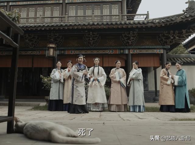 《当家主母》被指杀猫?猫猫演技过于逼真?网友要求剧组正面回应休闲区蓝鸢梦想 - Www.slyday.coM 《当家主母》被指杀猫?猫猫演技过于逼真?网友要求剧组正面回应休闲区蓝鸢梦想 - Www.slyday.coM