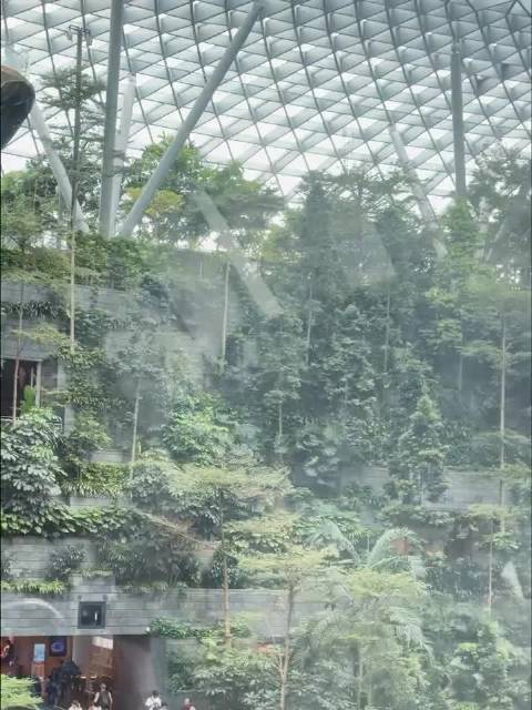 闪耀海外的记忆 @周翊然 25岁的你好