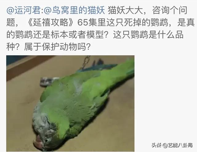 《当家主母》被指杀猫?猫猫演技过于逼真?网友要求剧组正面回应休闲区蓝鸢梦想 - Www.slyday.coM 《当家主母》被指杀猫?猫猫演技过于逼真?网友要求剧组正面回应休闲区蓝鸢梦想 - Www.slyday.coM
