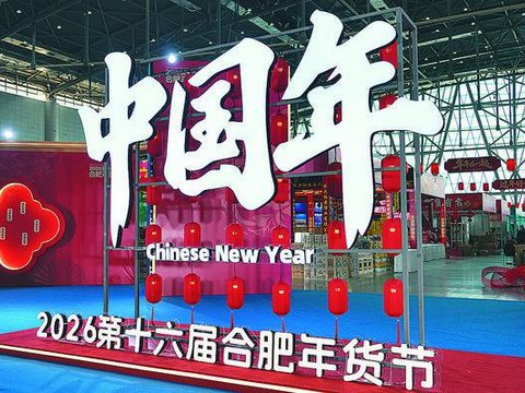 2026第十六届合肥年货节今启幕