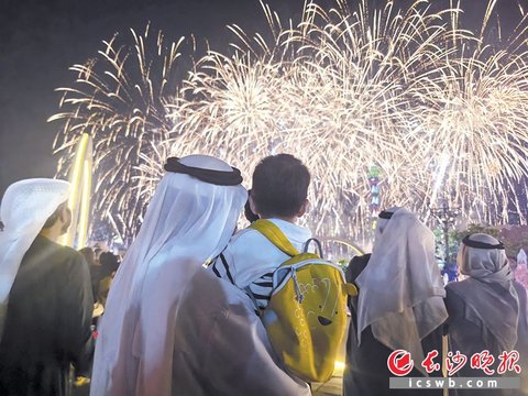 浏阳烟花阿布扎比夜空作画