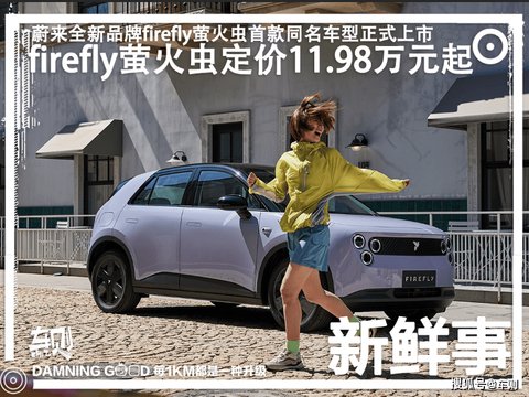 蔚来拼了！萤火虫定价仅11.98万元起！firefly萤火虫高调上市_汽车