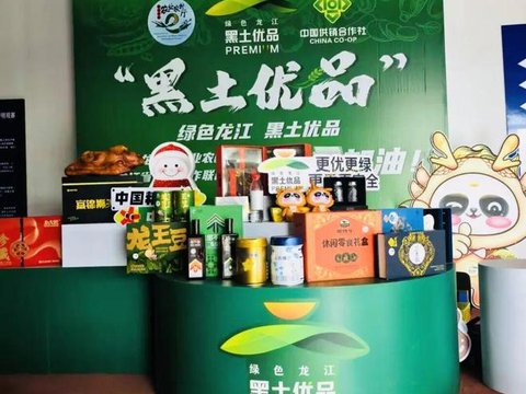 今日开赛！看“东北超”为哈尔滨队加油，还能一站式逛遍“黑土优品”嘉年华