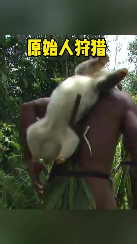 巴布亚新几内亚原始部落硬核狩猎