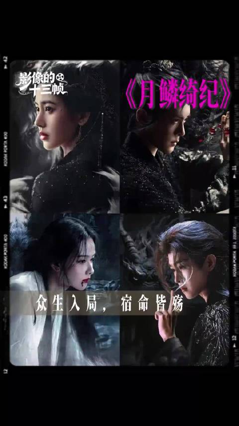 纵有千般不甘，终究抵不过一场宿命 （排名不分先后）