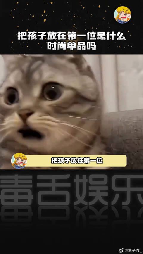 把孩子放在第一位是什么时尚单品吗？大张伟 我家那闺女 papi酱