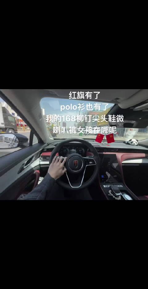 红旗有了 polo衫也有了 我的168柳钉尖头鞋微喇叭裤女孩在哪呢·