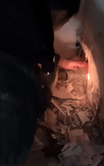 老鼠盗窃1800多元现金在轮胎内建“豪宅” 场面让人哭笑不得休闲区蓝鸢梦想 - Www.slyday.coM 老鼠盗窃1800多元现金在轮胎内建“豪宅” 场面让人哭笑不得休闲区蓝鸢梦想 - Www.slyday.coM