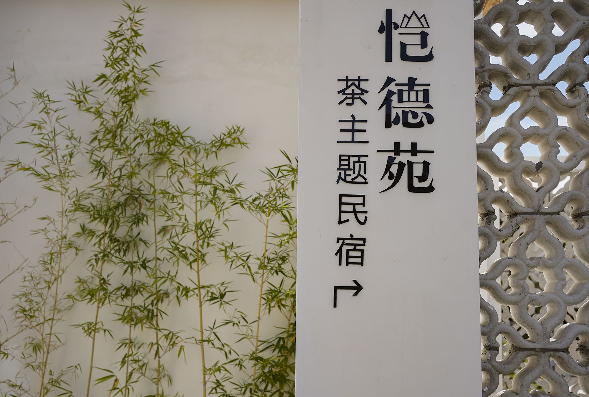 一棵700多年古茶树成镇馆之宝，潮州工夫茶才是<a href=