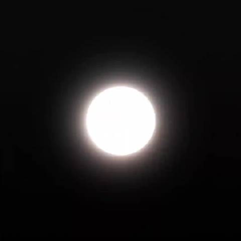 小丑女皇哈莉·奎茵!"