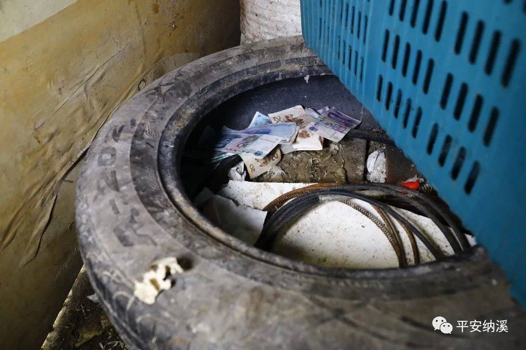 老鼠盗窃1800多元现金在轮胎内建“豪宅” 场面让人哭笑不得休闲区蓝鸢梦想 - Www.slyday.coM 老鼠盗窃1800多元现金在轮胎内建“豪宅” 场面让人哭笑不得休闲区蓝鸢梦想 - Www.slyday.coM