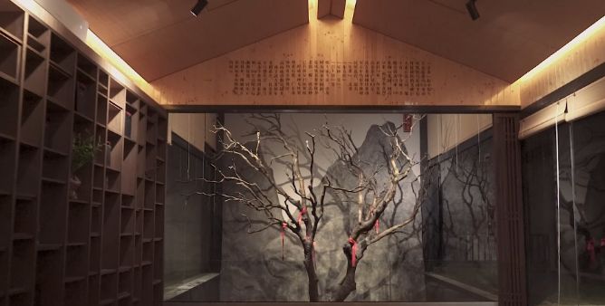 一棵700多年古茶树成镇馆之宝，潮州工夫茶才是<a href=