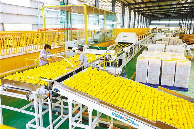 广州供卵试管(重庆立足山地特色振兴乡村产业)