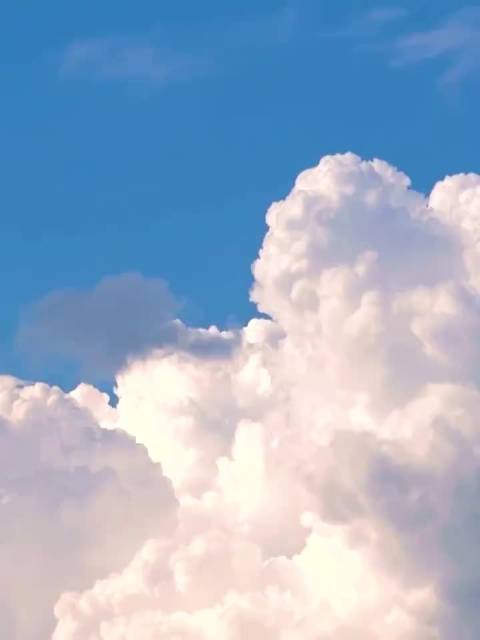 王一博任奥迪英杰汇大使贺马年新岁