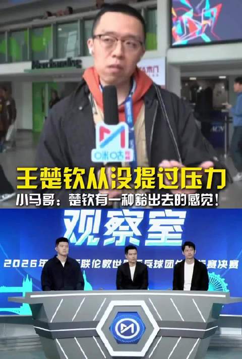 王楚钦有一种豁出去的心态！小马哥：王楚钦让人有点心疼！
