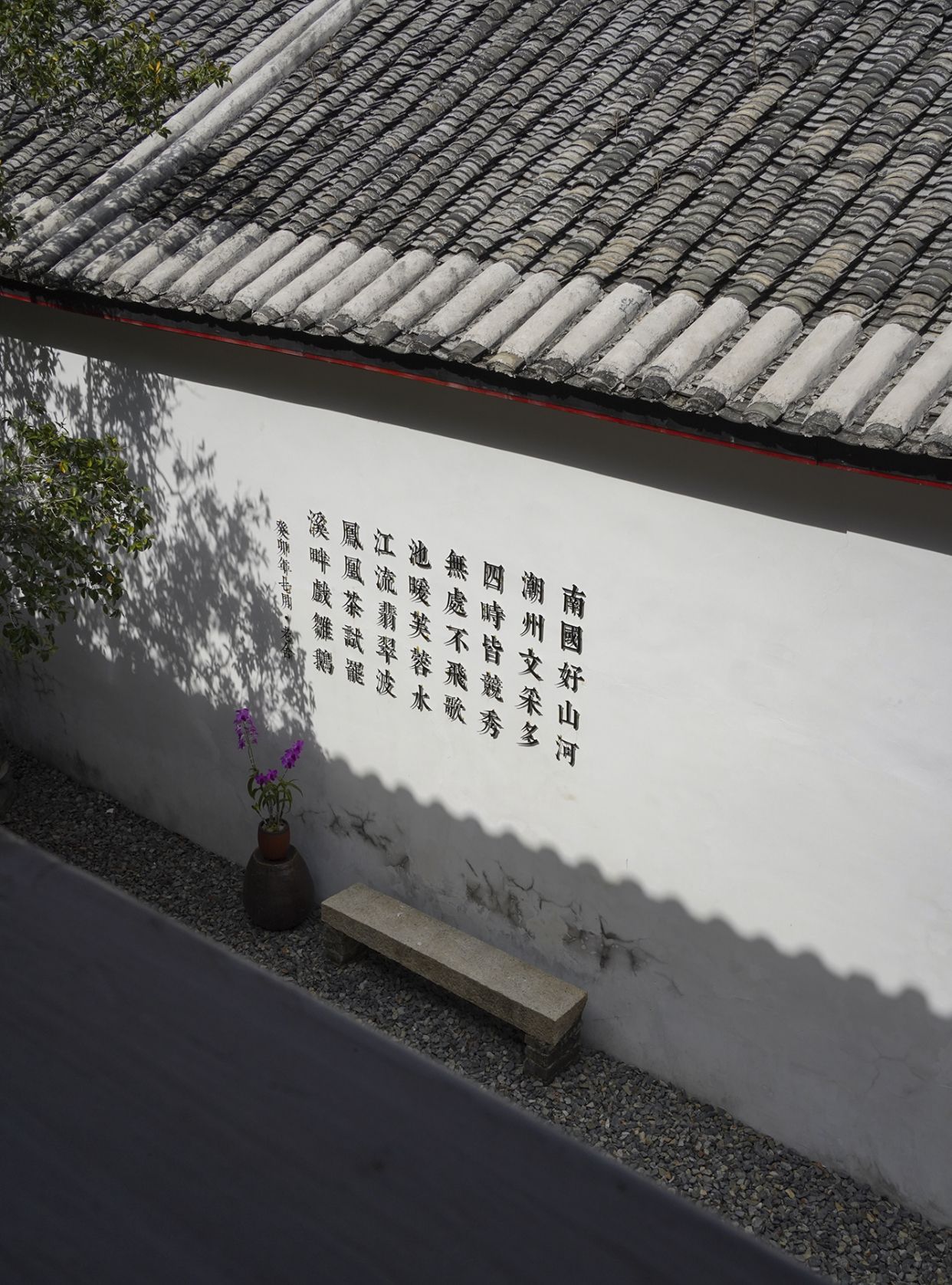 一棵700多年古茶树成镇馆之宝，潮州工夫茶才是<a href=
