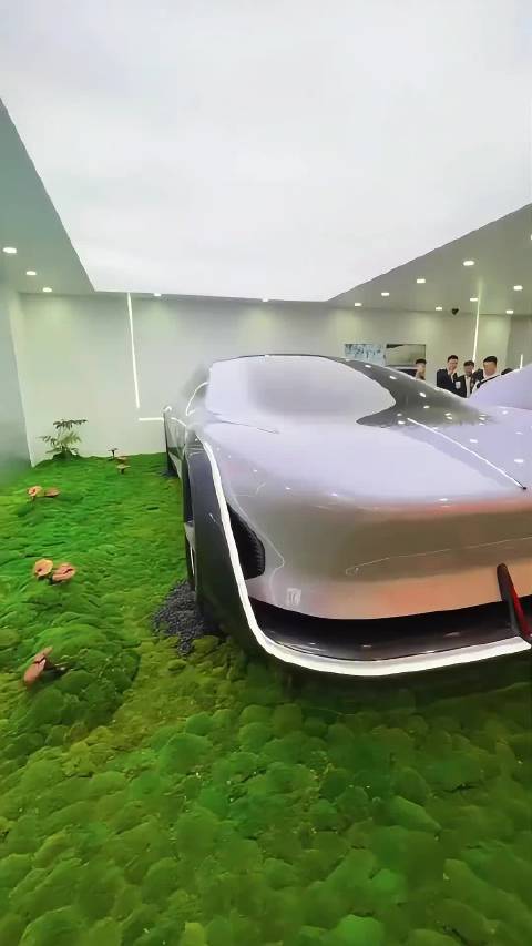 上海车展红旗新款概念车，给它起个名字 你们觉得应该叫什么