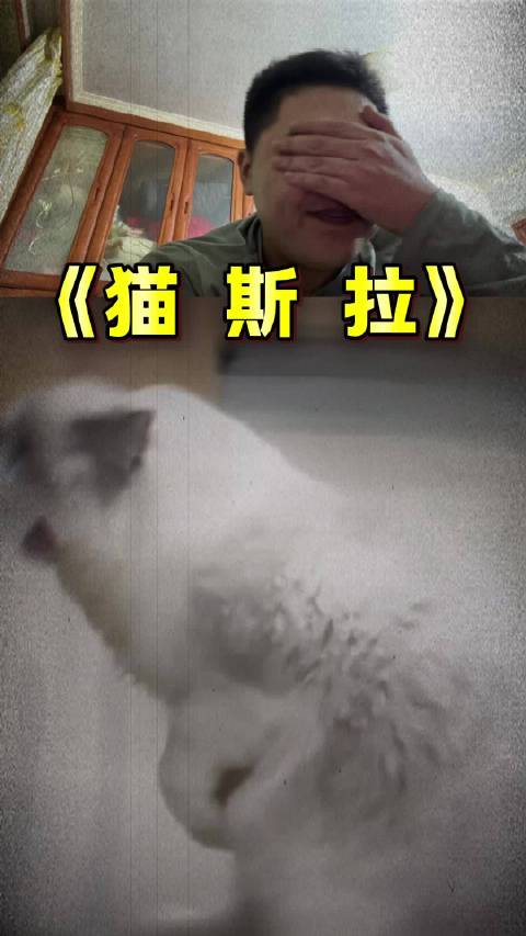 破防 搞笑 哥斯拉