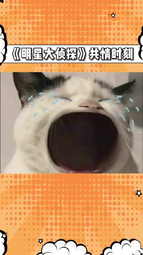 真的很爱他们塑造的每一个有血有肉的角色