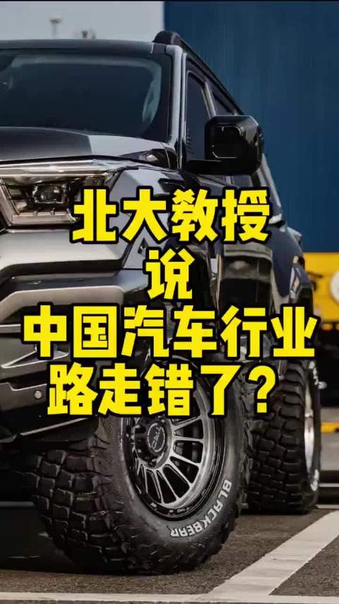北大教授说，中国汽车行业路走错了？