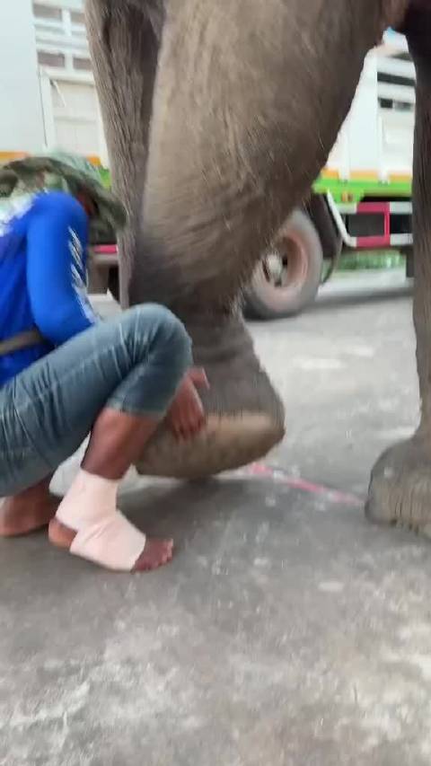 万一被踩一脚会如何？算不算高危职业？