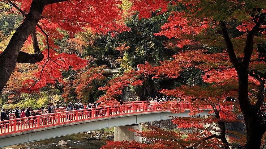 梦幻西游59MW灵力标准 黑神话悟空杨戬打法技巧