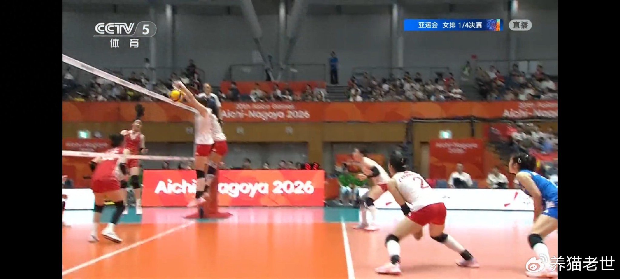 首局战报：中国女排25-15完胜越南！高度压制见效