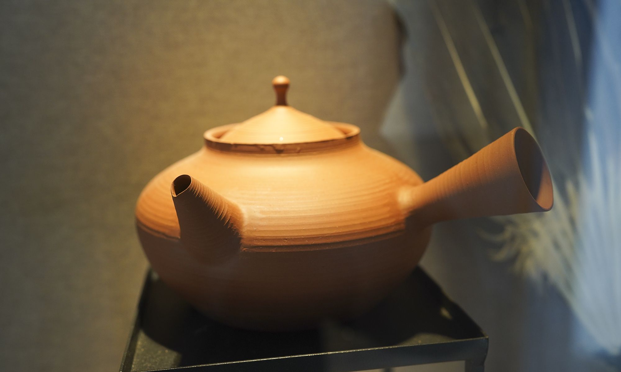 一棵700多年古茶树成镇馆之宝，潮州工夫茶才是<a href=