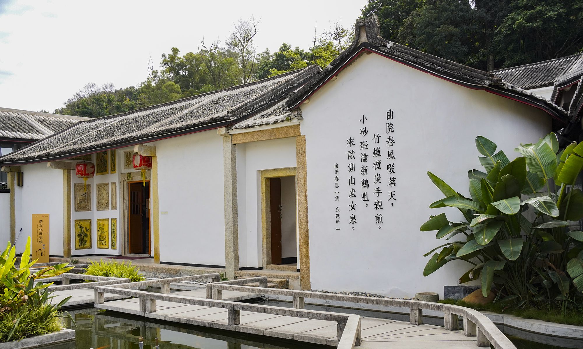 一棵700多年古茶树成镇馆之宝，潮州工夫茶才是<a href=