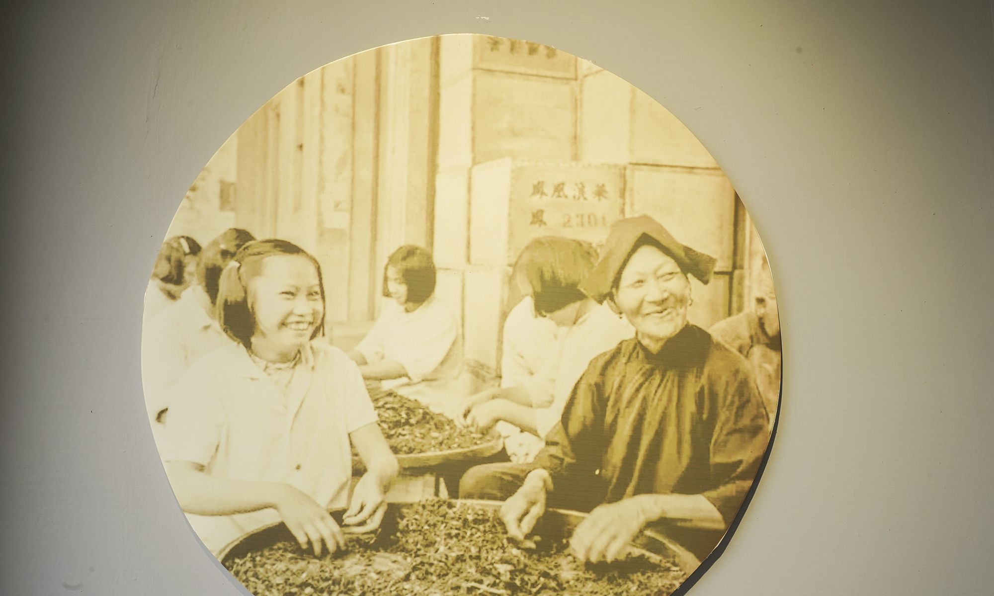 一棵700多年古茶树成镇馆之宝，潮州工夫茶才是<a href=