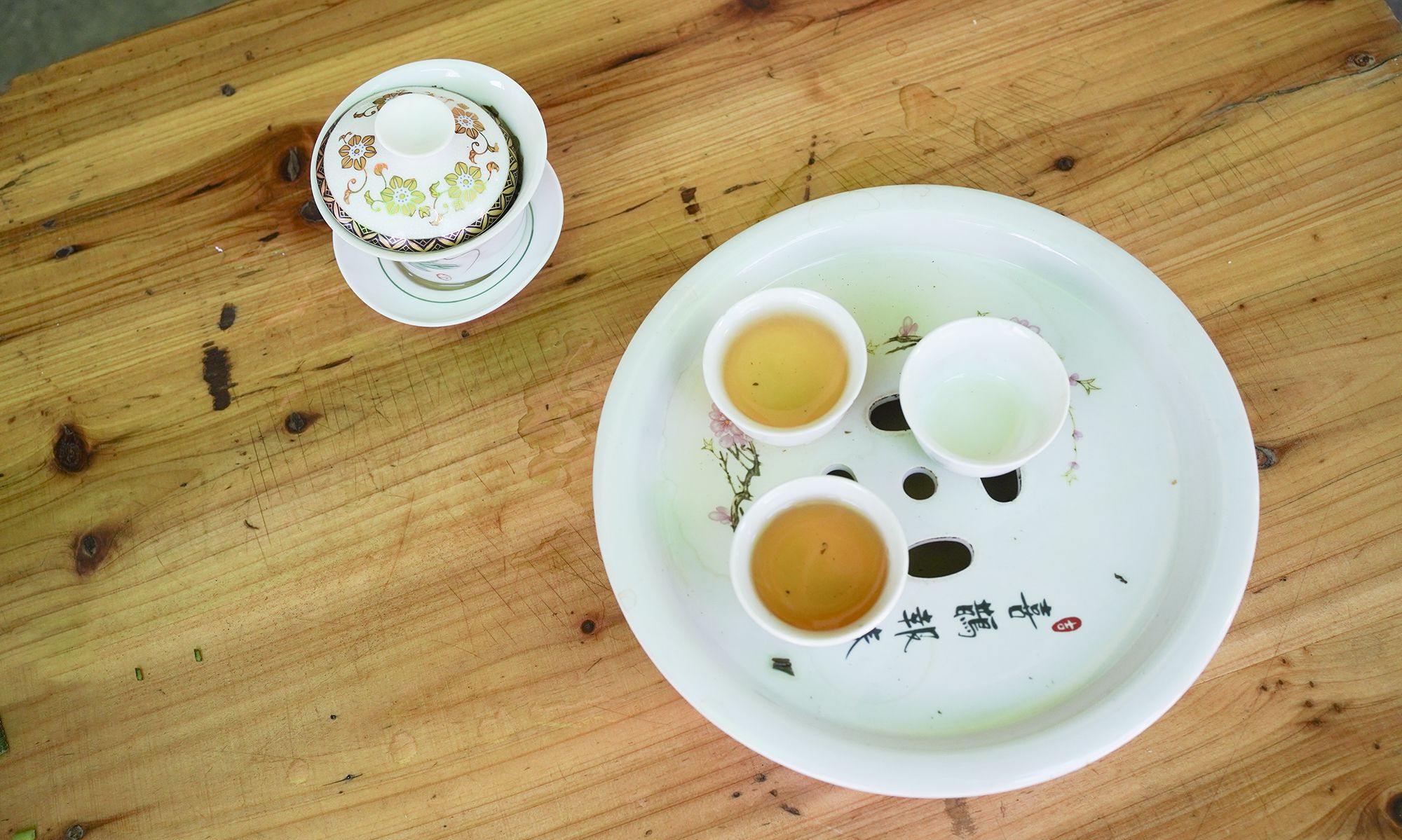 一棵700多年古茶树成镇馆之宝，潮州工夫茶才是<a href=
