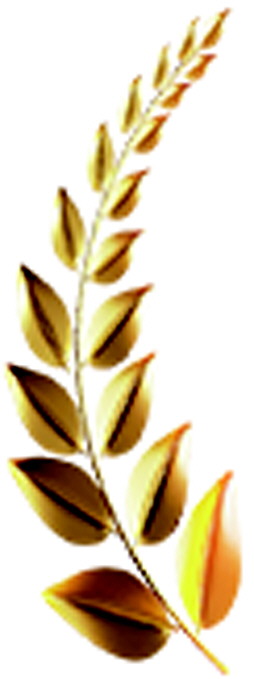 竞争不是零和博弈在齐鲁车展不断学习进化