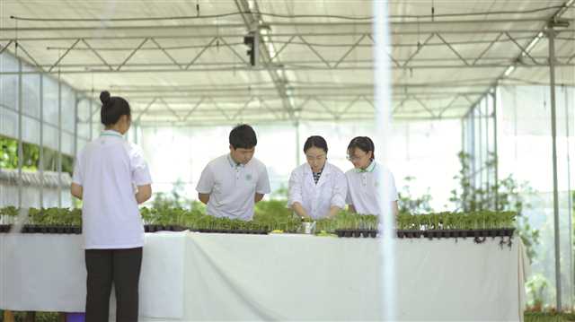 曝火！句容农校妞怎么申请？2025年全流程解析，省时3天+避坑指南