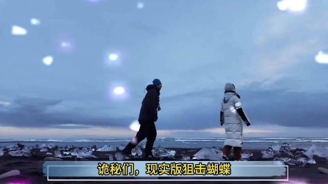 孙丞潇向金莎求婚