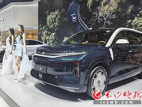 大型新能源SUV为何受热捧｜“经彩”专栏