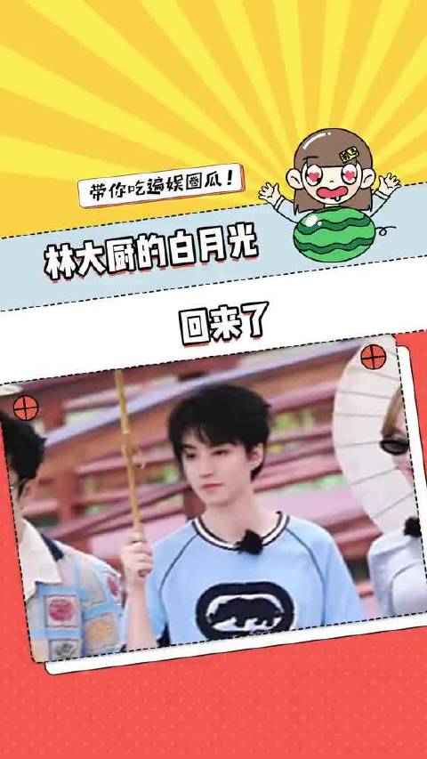 不仅是林大厨的白月光也是我的