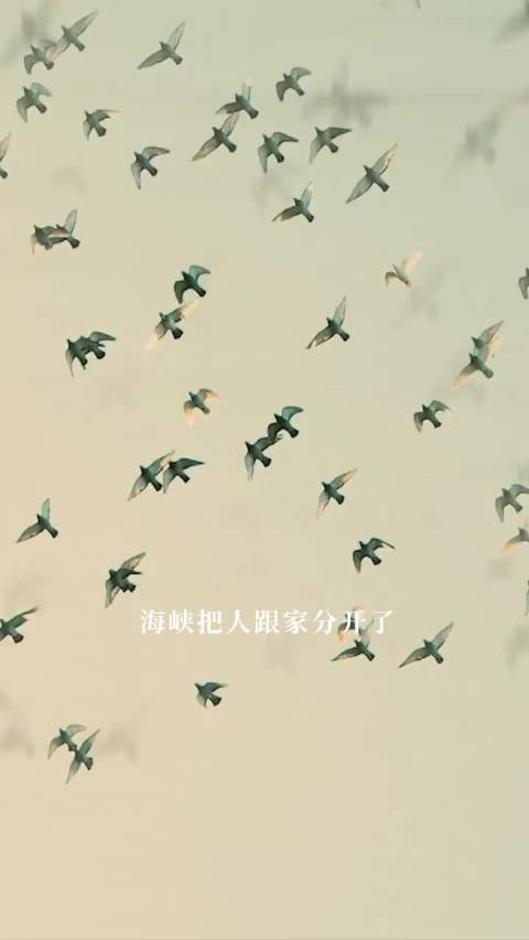 过海王道铁 张凯丽 许文广