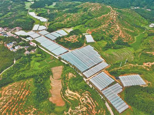 做好土特产文章