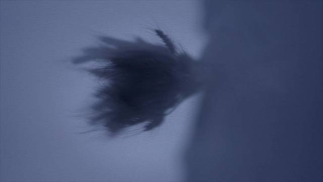 此生一念，入倒转之境，破雪迎春生