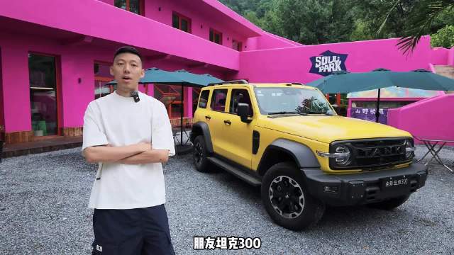 可城可野的方盒子 全新坦克300L Hi4-Z