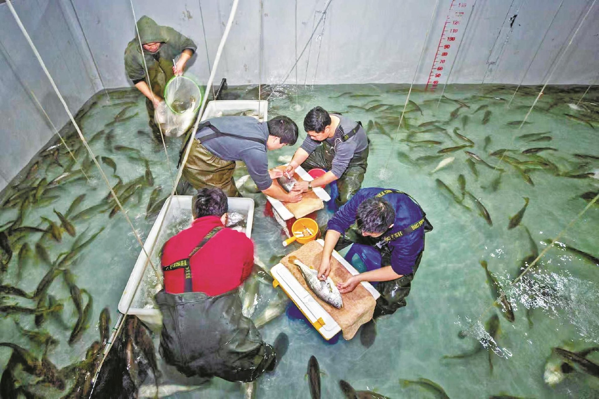 莫道春来早
且看人勤争先