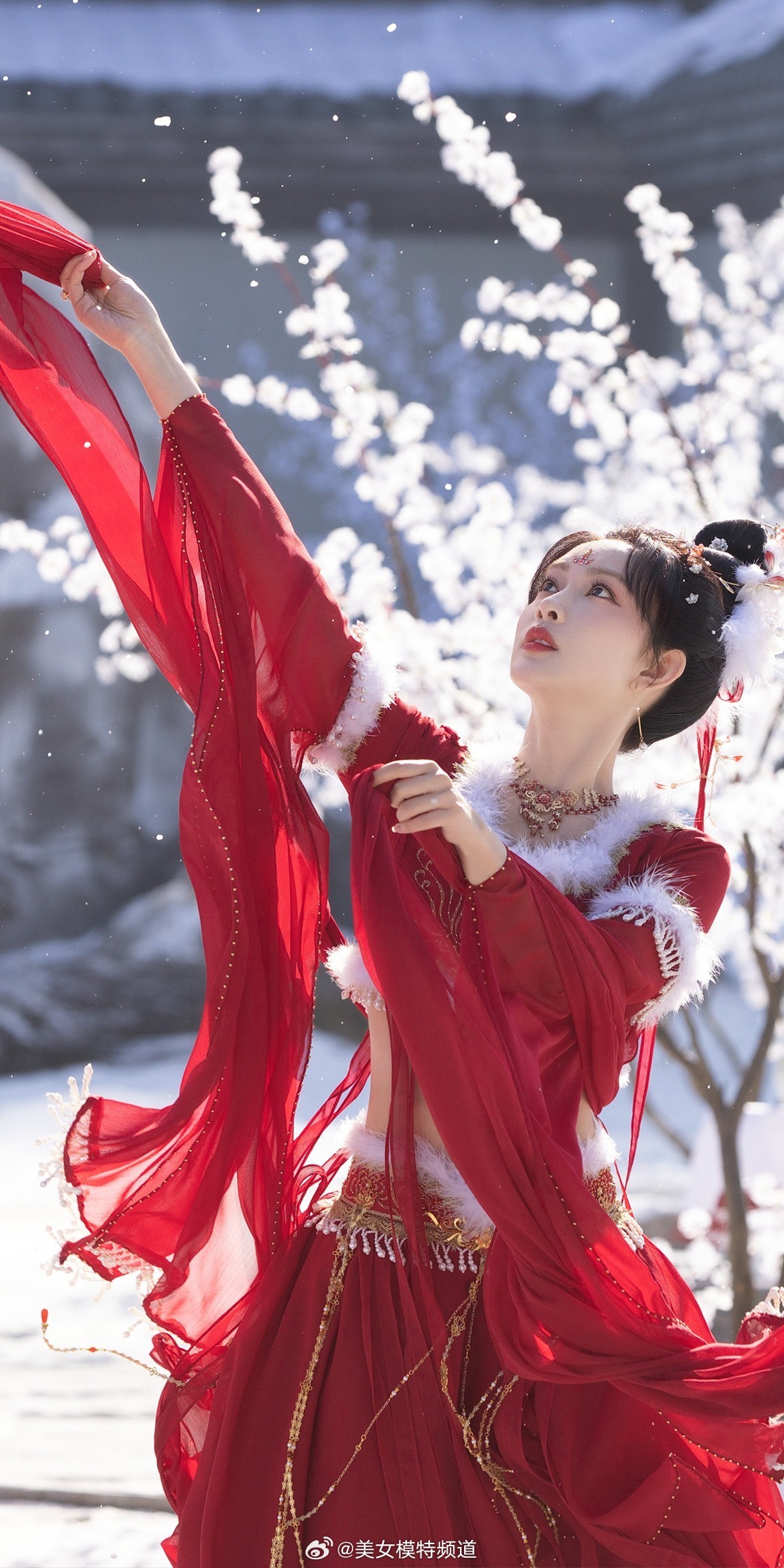 孟子义花琉璃红衣