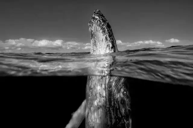 美爆了！<a href=