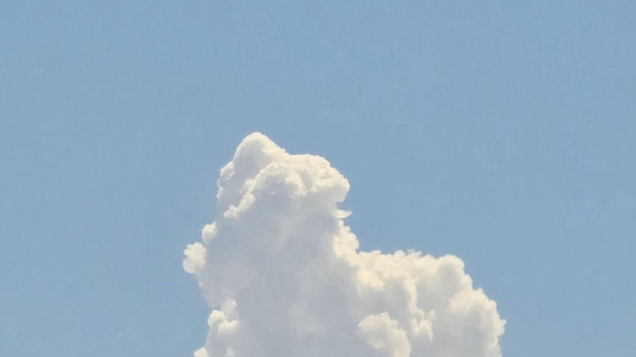 这四个星座把日子过得最有条理