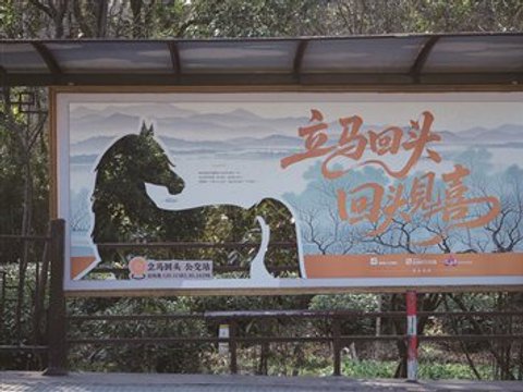 网红站点“立马回头”，装着一个故事和一句吉祥话