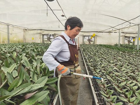 “蝴蝶”翩翩出杨凌