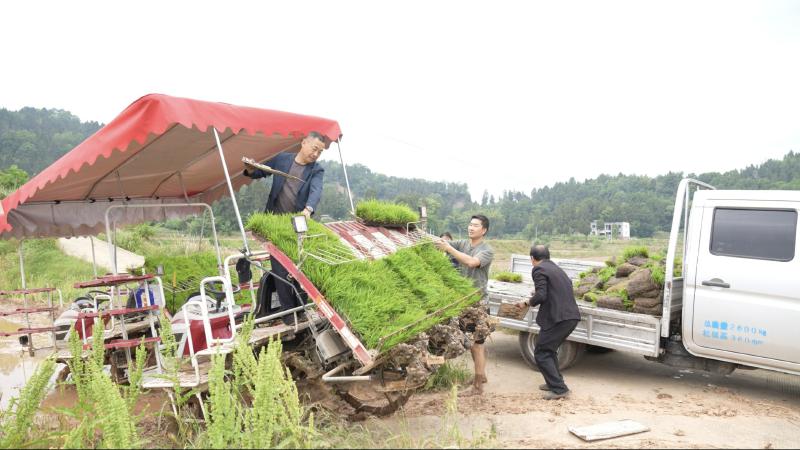 这里的村干部，个个都是农机手