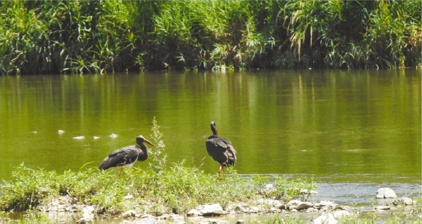 凌源市探秘：合肥男人喜欢去的小巷子的背后故事
