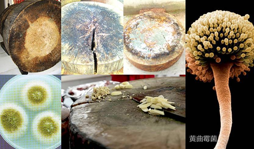 6个正在被时代淘汰的家居用品,建议断舍离,别再花钱交智商税了休闲区蓝鸢梦想 - Www.slyday.coM 6个正在被时代淘汰的家居用品,建议断舍离,别再花钱交智商税了休闲区蓝鸢梦想 - Www.slyday.coM